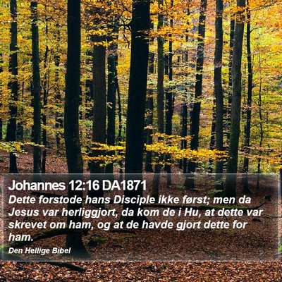 Johannes 12:16 DA1871 Bible Verse Image