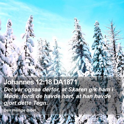 Johannes 12:18 DA1871 Bible Verse Image