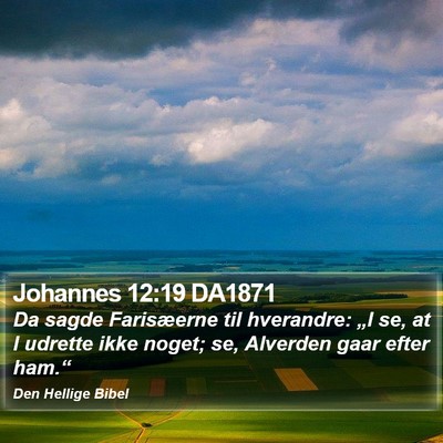 Johannes 12:19 DA1871 Bible Verse Image
