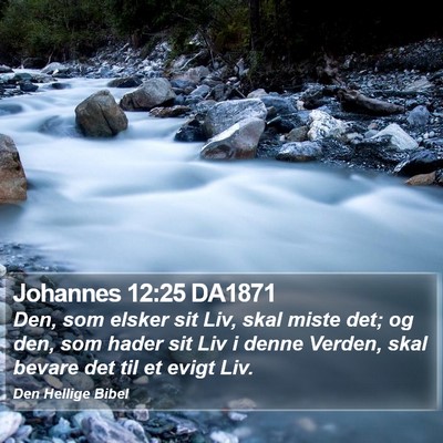 Johannes 12:25 DA1871 Bible Verse Image