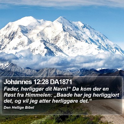 Johannes 12:28 DA1871 Bible Verse Image