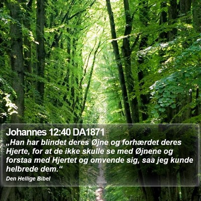 Johannes 12:40 DA1871 Bible Verse Image