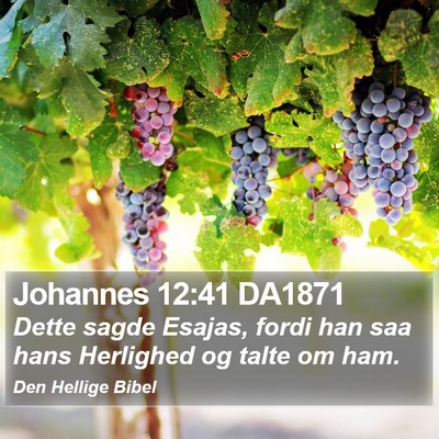 Johannes 12:41 DA1871 Bible Verse Image
