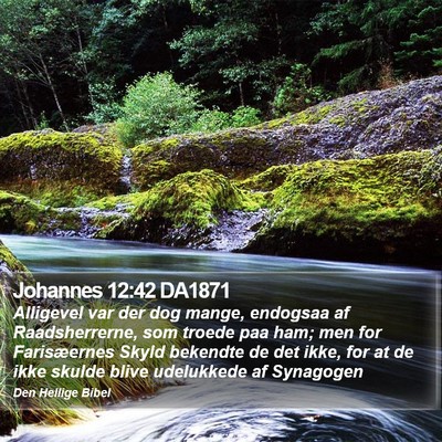 Johannes 12:42 DA1871 Bible Verse Image