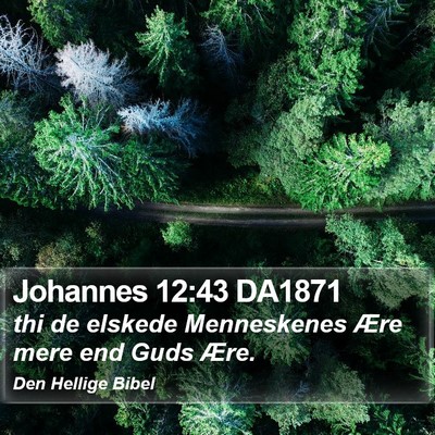 Johannes 12:43 DA1871 Bible Verse Image