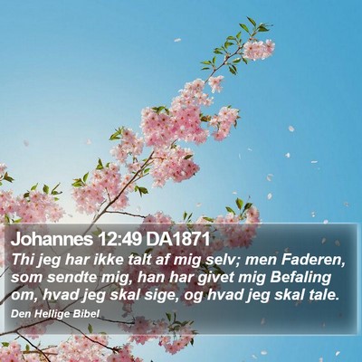 Johannes 12:49 DA1871 Bible Verse Image