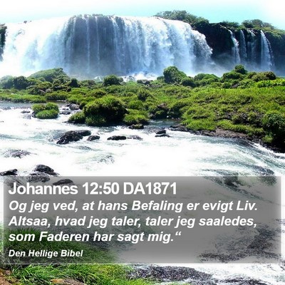 Johannes 12:50 DA1871 Bible Verse Image
