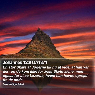 Johannes 12:9 DA1871 Bible Verse Image