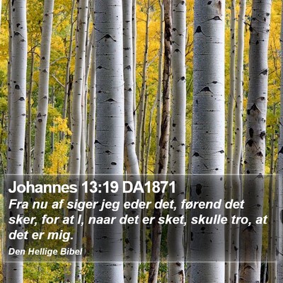 Johannes 13:19 DA1871 Bible Verse Image