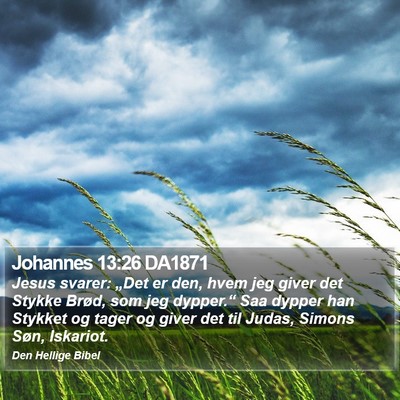 Johannes 13:26 DA1871 Bible Verse Image