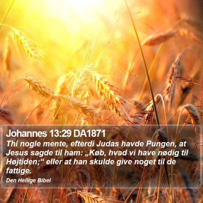 Johannes 13:29 DA1871 Bible Verse Image