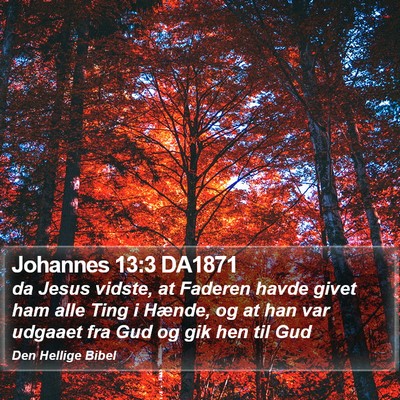 Johannes 13:3 DA1871 Bible Verse Image