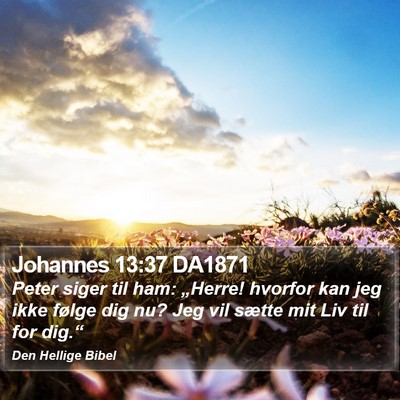 Johannes 13:37 DA1871 Bible Verse Image
