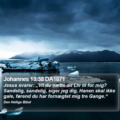 Johannes 13:38 DA1871 Bible Verse Image