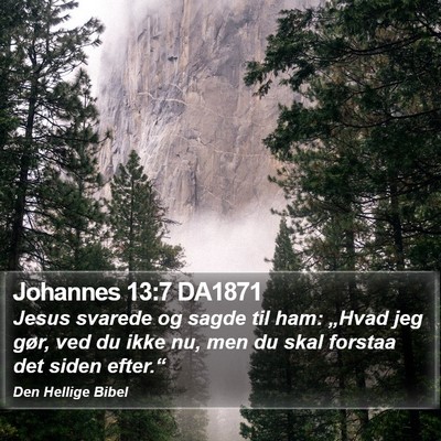 Johannes 13:7 DA1871 Bible Verse Image