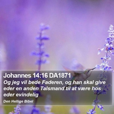 Johannes 14:16 DA1871 Bible Verse Image