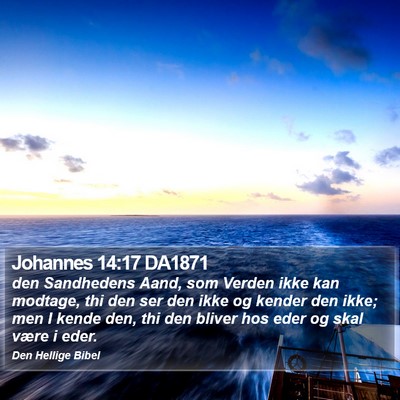 Johannes 14:17 DA1871 Bible Verse Image