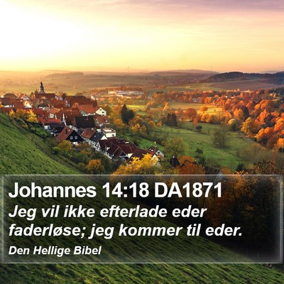 Johannes 14:18 DA1871 Bible Verse Image