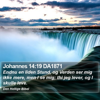 Johannes 14:19 DA1871 Bible Verse Image