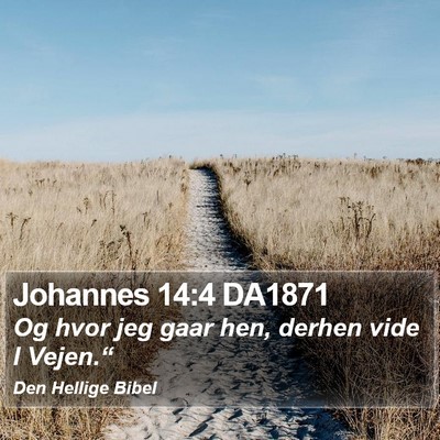 Johannes 14:4 DA1871 Bible Verse Image