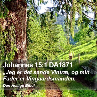 Johannes 15:1 DA1871 Bible Verse Image