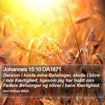 Johannes 15:10 DA1871 Bible Verse Image