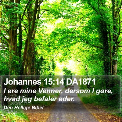 Johannes 15:14 DA1871 Bible Verse Image