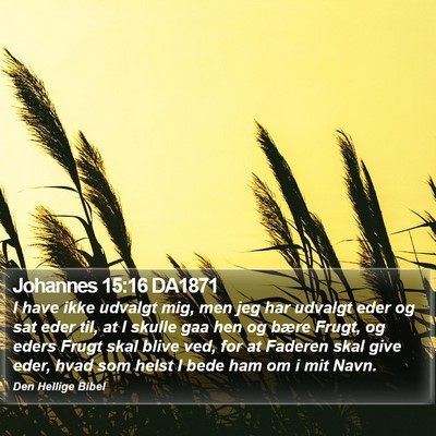 Johannes 15:16 DA1871 Bible Verse Image