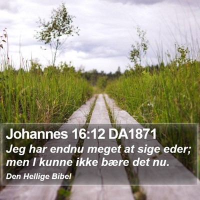 Johannes 16:12 DA1871 Bible Verse Image