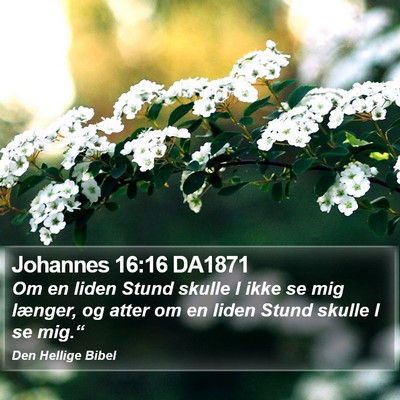 Johannes 16:16 DA1871 Bible Verse Image
