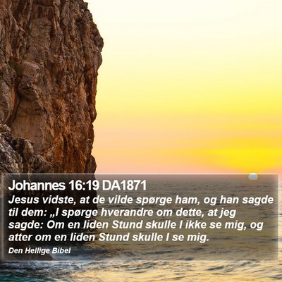 Johannes 16:19 DA1871 Bible Verse Image