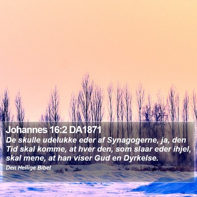Johannes 16:2 DA1871 Bible Verse Image