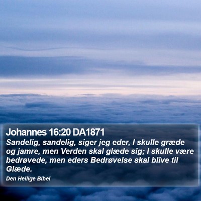 Johannes 16:20 DA1871 Bible Verse Image