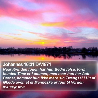 Johannes 16:21 DA1871 Bible Verse Image
