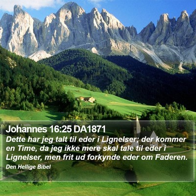 Johannes 16:25 DA1871 Bible Verse Image