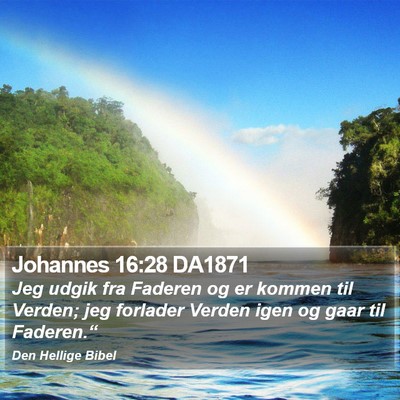 Johannes 16:28 DA1871 Bible Verse Image