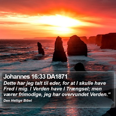 Johannes 16:33 DA1871 Bible Verse Image