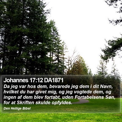 Johannes 17:12 DA1871 Bible Verse Image