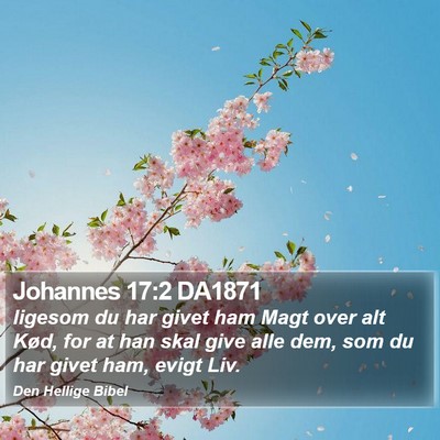 Johannes 17:2 DA1871 Bible Verse Image