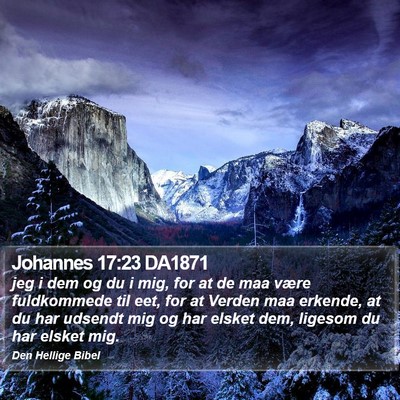 Johannes 17:23 DA1871 Bible Verse Image