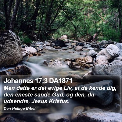 Johannes 17:3 DA1871 Bible Verse Image