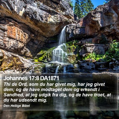 Johannes 17:8 DA1871 Bible Verse Image