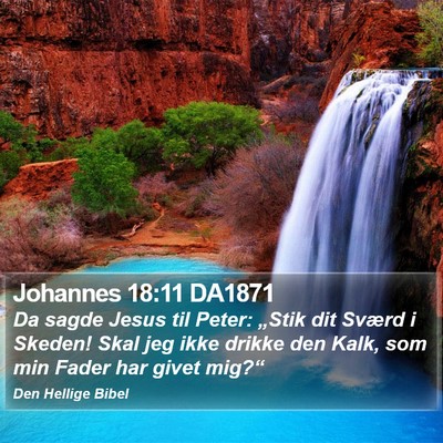 Johannes 18:11 DA1871 Bible Verse Image