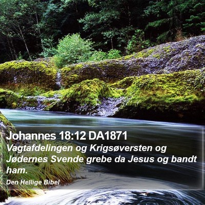 Johannes 18:12 DA1871 Bible Verse Image