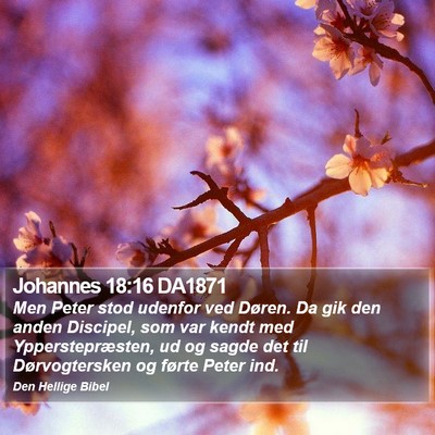 Johannes 18:16 DA1871 Bible Verse Image
