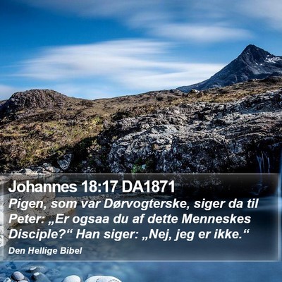 Johannes 18:17 DA1871 Bible Verse Image