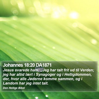 Johannes 18:20 DA1871 Bible Verse Image