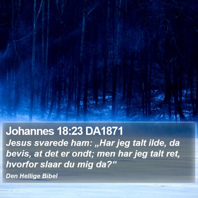Johannes 18:23 DA1871 Bible Verse Image