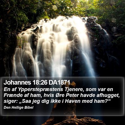 Johannes 18:26 DA1871 Bible Verse Image