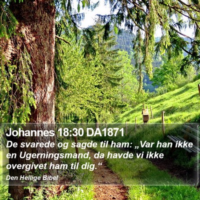 Johannes 18:30 DA1871 Bible Verse Image